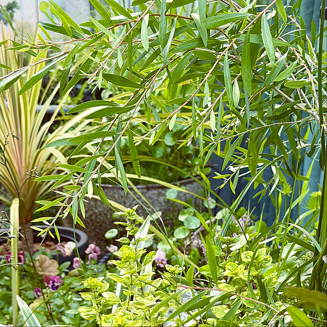 DAYONEさんの部屋