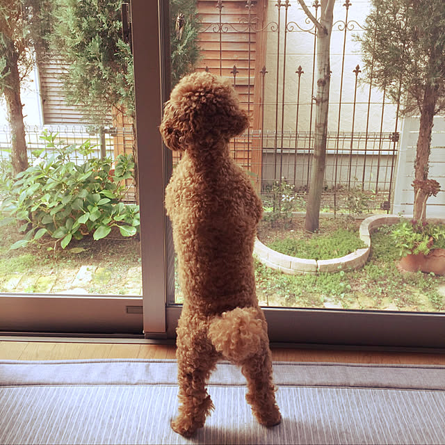 kazuさんの実例写真