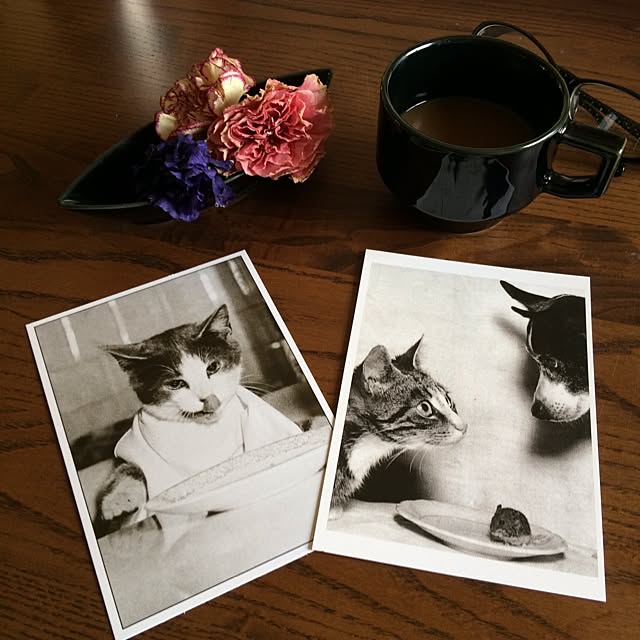 kayaさんの実例写真