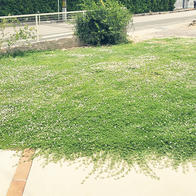 sk72zyp3さんの実例写真