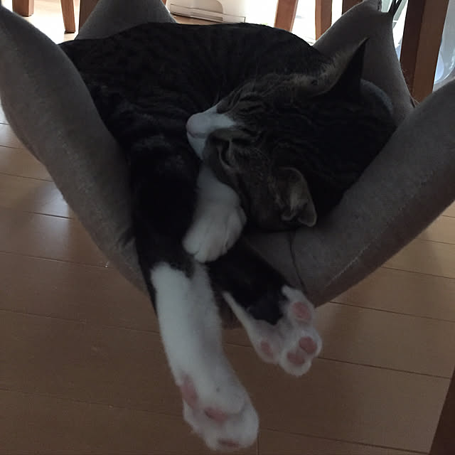 nyangyoさんの実例写真