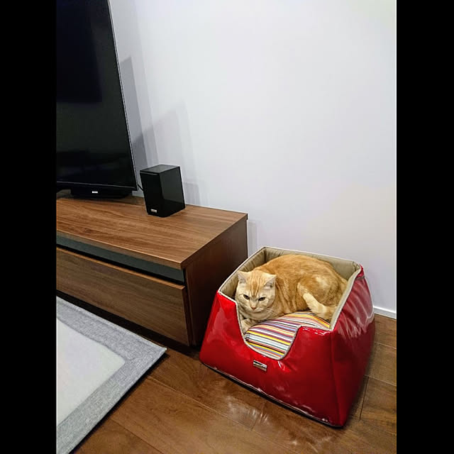 malmさんの実例写真