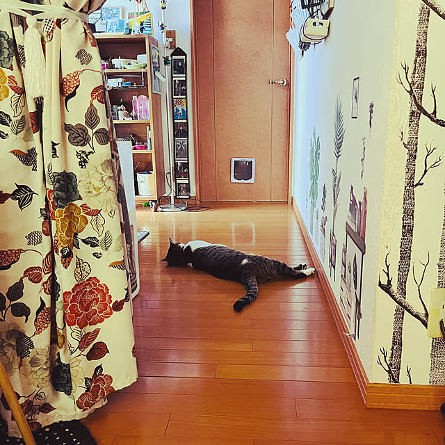 jijiさんの部屋