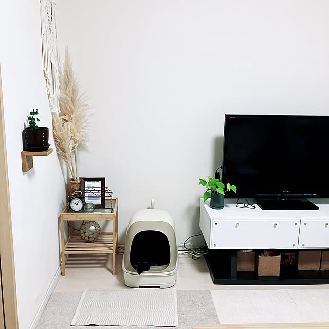 nekomiさんの部屋