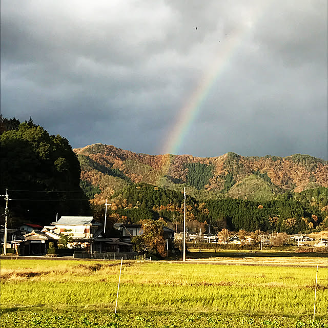 実例写真