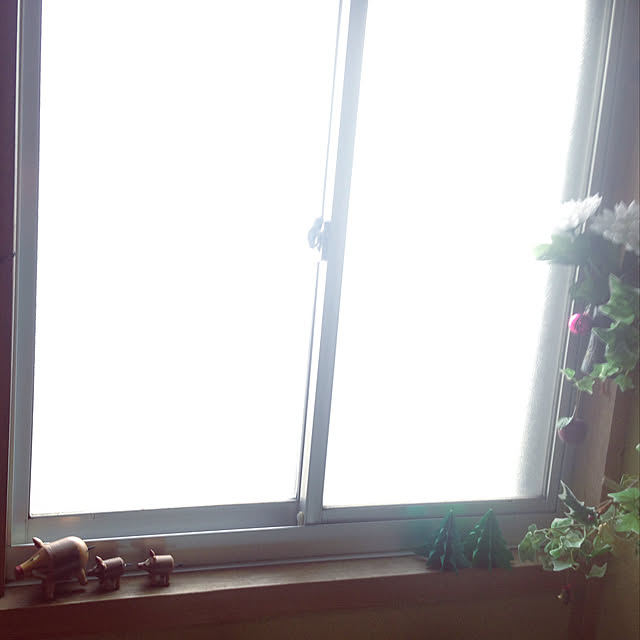 aoinokimiさんの実例写真
