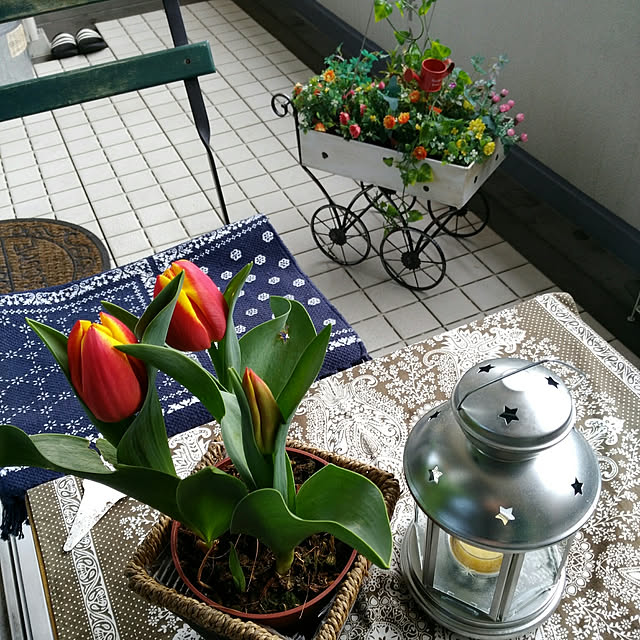 mayumiさんの実例写真