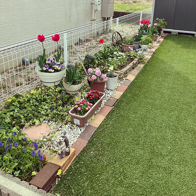 Rikimaさんの部屋