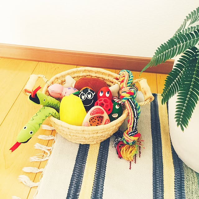 megさんの実例写真