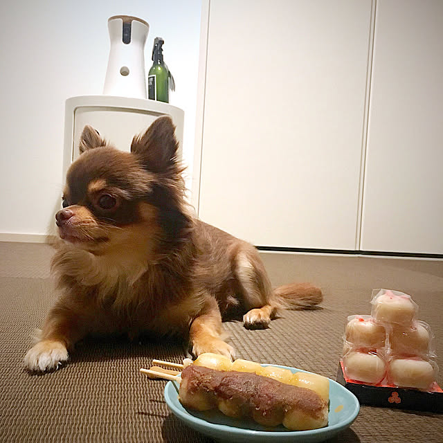 Musashiさんの実例写真