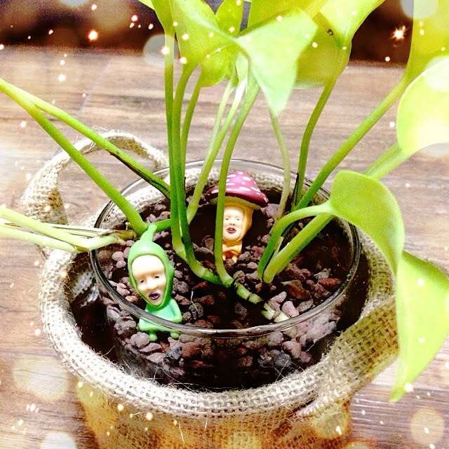 roroさんの実例写真