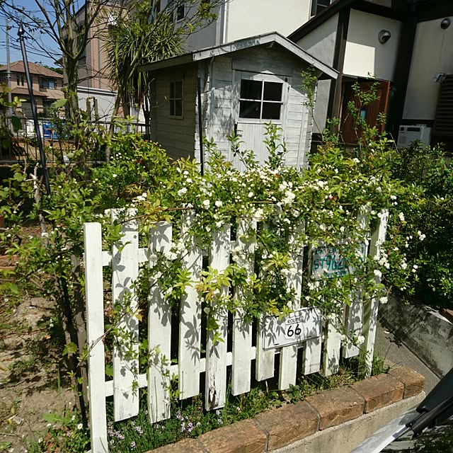 montresoryuzuhaさんの実例写真
