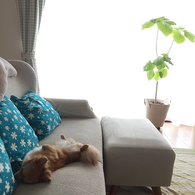 c.kさんの実例写真
