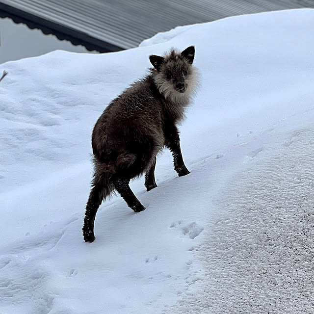 Kikko.さんの部屋