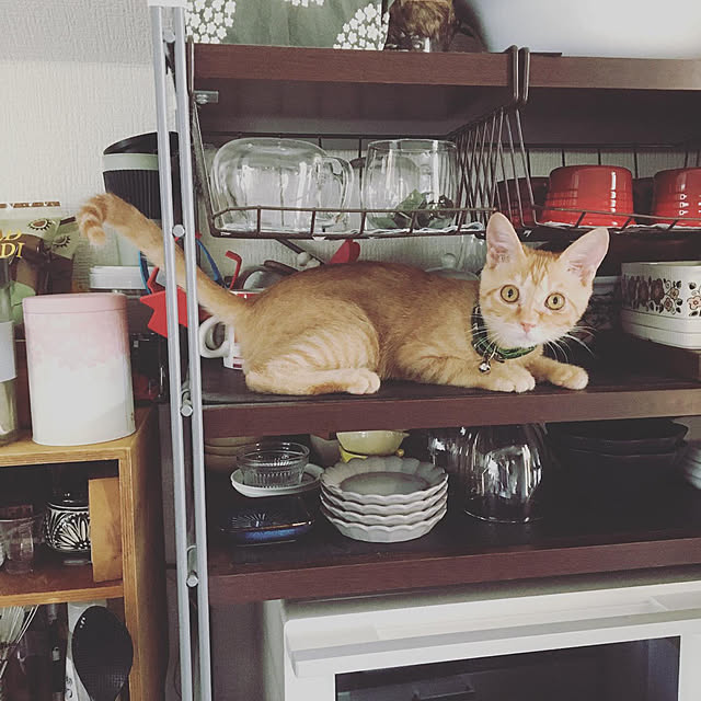 amaさんの実例写真