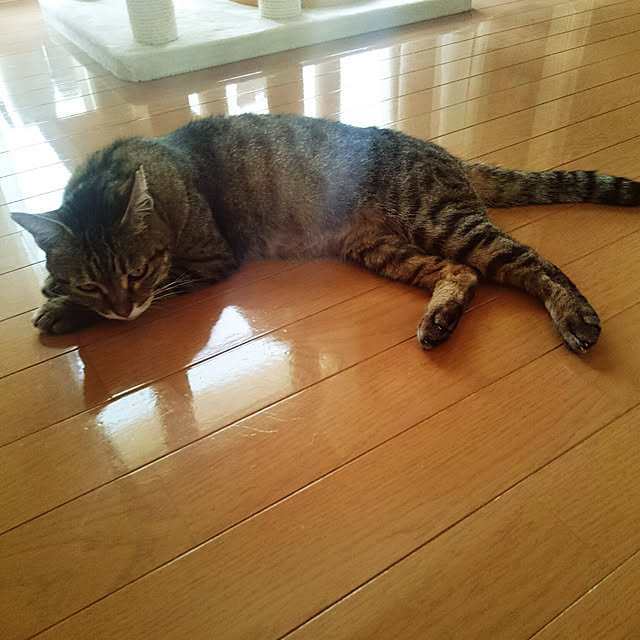 lilyさんの実例写真