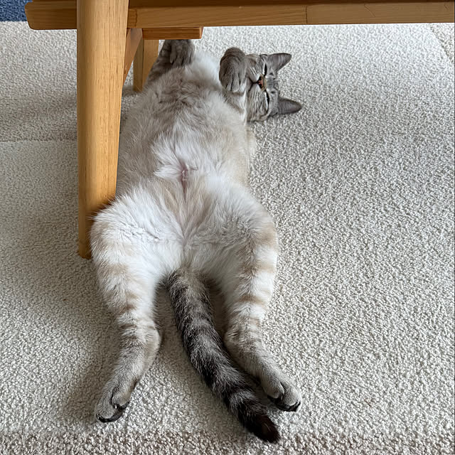 amさんの実例写真