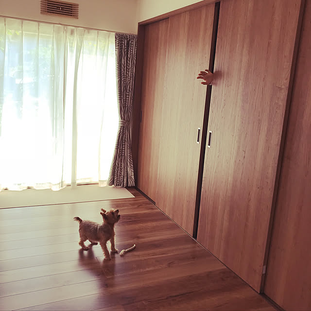Chipchipさんの実例写真