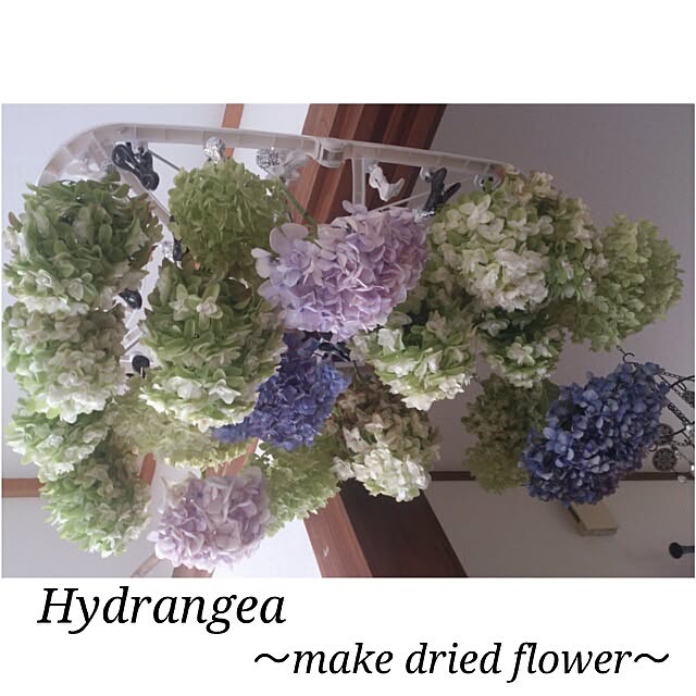 cedarrosemamさんの実例写真