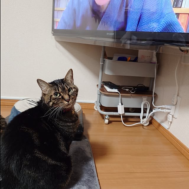 noguriさんの部屋