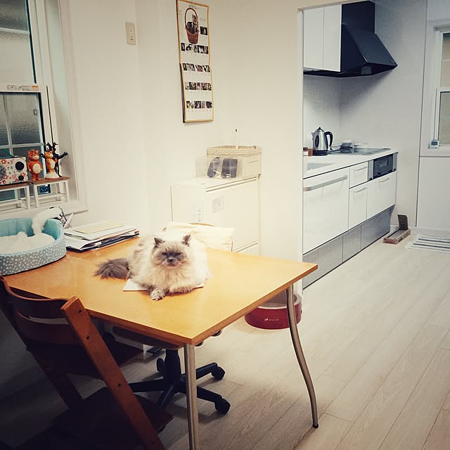 yuchiさんの実例写真