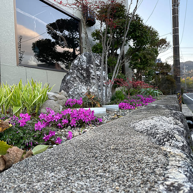 shin0719さんの部屋