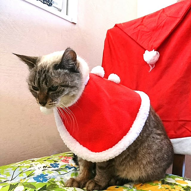 bonobono54さんの実例写真