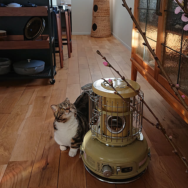 maison.de.brocanteさんの実例写真