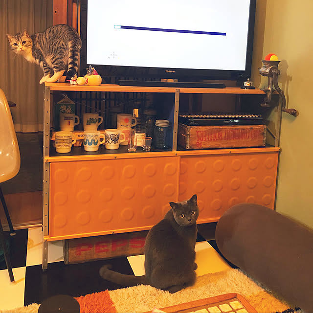 Shojiさんの実例写真