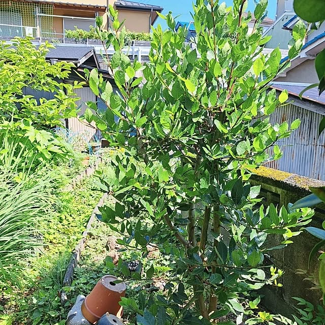 waniwaniさんの部屋