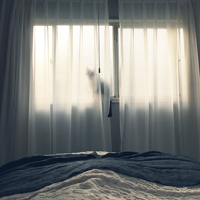 Shihoさんの実例写真