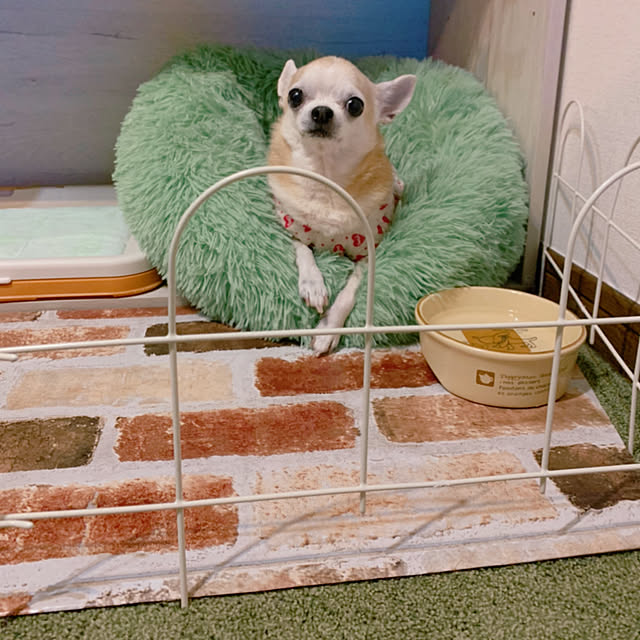 Kayukoさんの実例写真