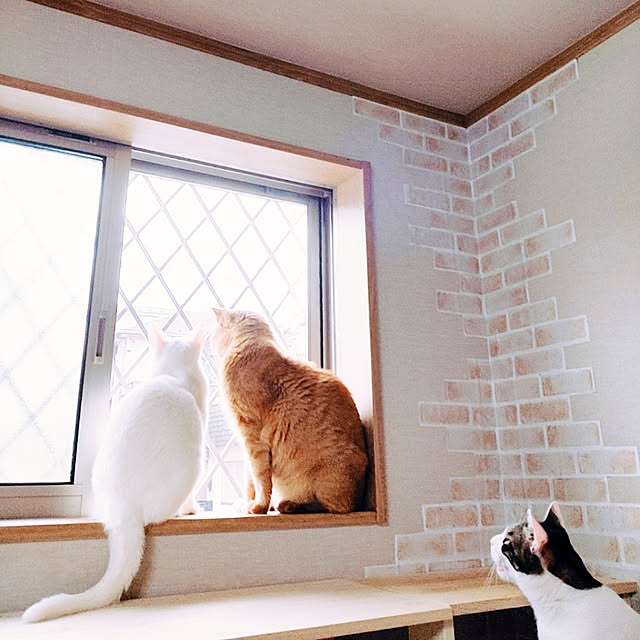kirakirahikaruさんの実例写真