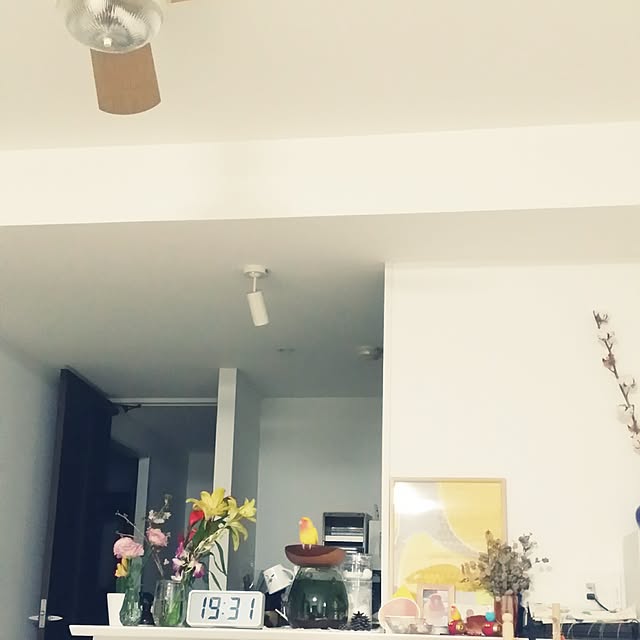 m-kinocoさんの実例写真