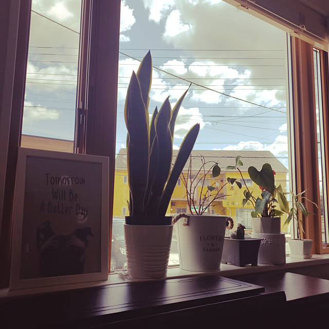 Moeさんの実例写真