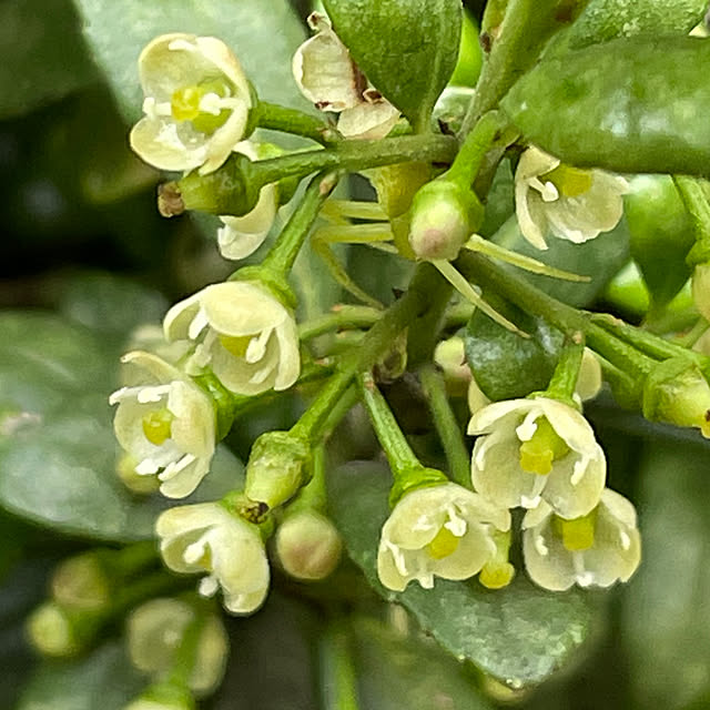 buchiさんの部屋