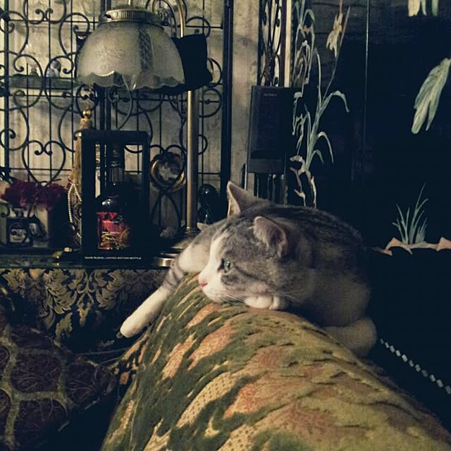 emmyyさんの実例写真