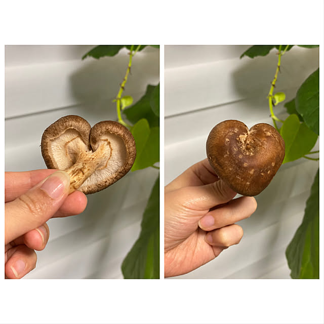 asako.10さんの実例写真