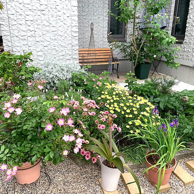 cocoさんの部屋