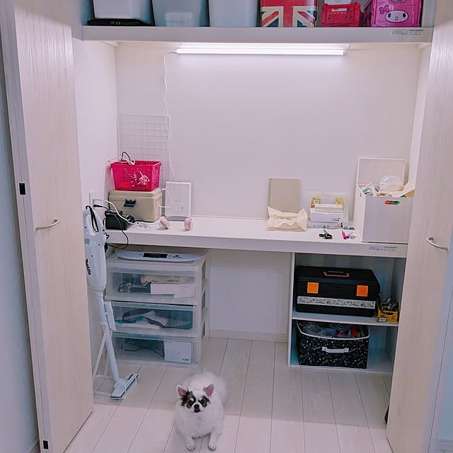 リビング/ワンコと暮らす家/チワワ飼ってます/わんこのいる暮らし/チワワ多頭飼い...などのインテリア実例 - 2023-06-27 21:14:09