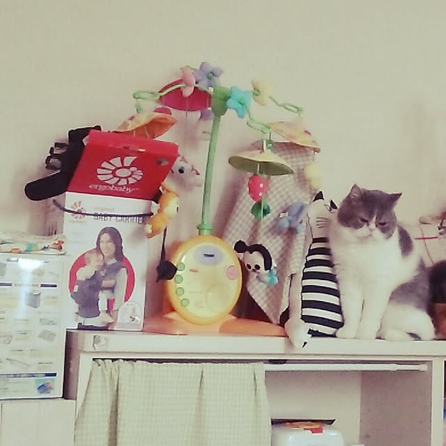 otoさんの実例写真