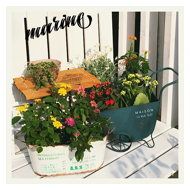 marineさんの実例写真