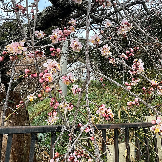 mogumoguさんの実例写真