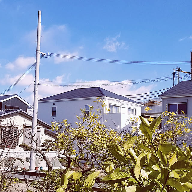 oshinkoさんの実例写真