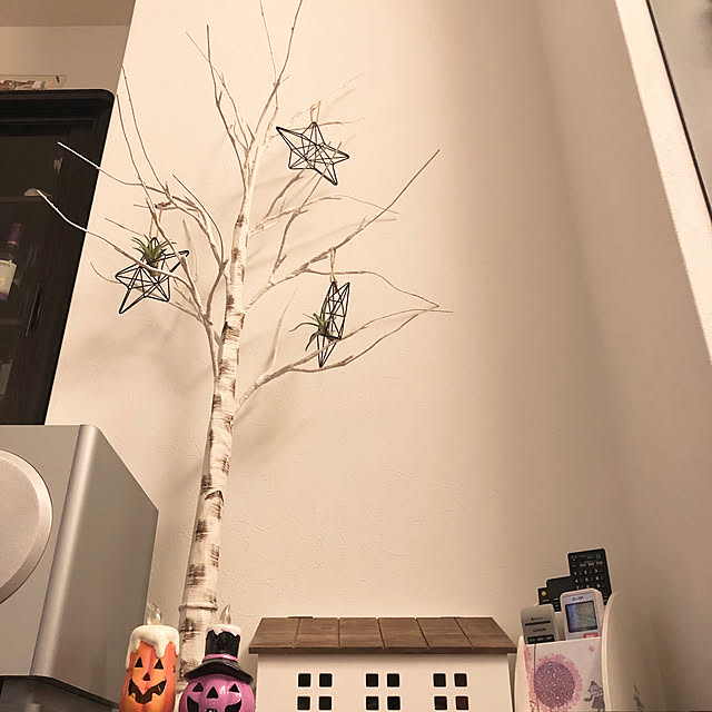 moppaさんの実例写真