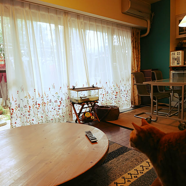 okyosan101さんの実例写真