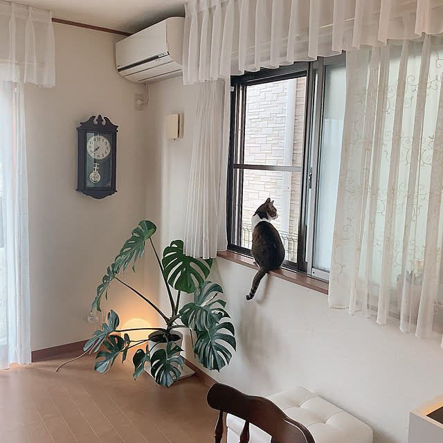 emiさんの実例写真