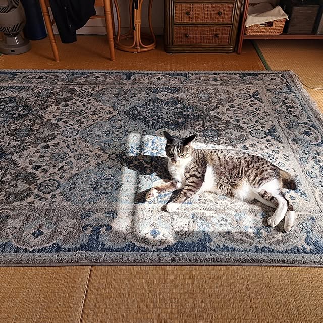 shinoさんの部屋