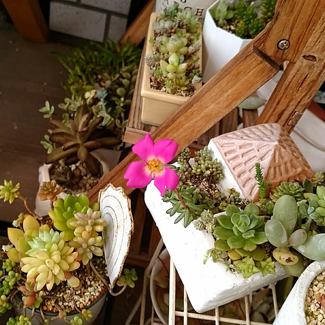 mymさんの実例写真