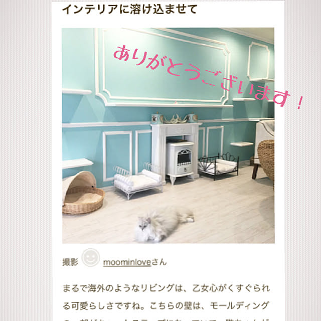 moominloveさんの実例写真